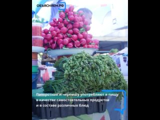 Летние продукты от местных производителей